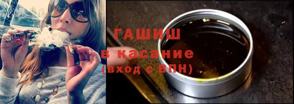 индика Ладушкин