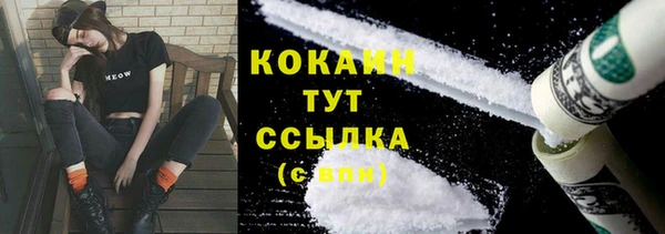 индика Ладушкин