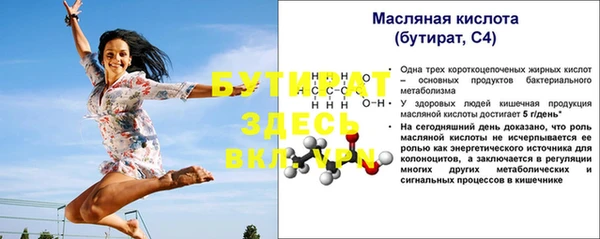 индика Ладушкин
