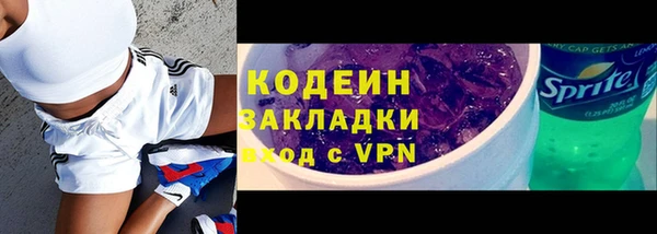 индика Ладушкин