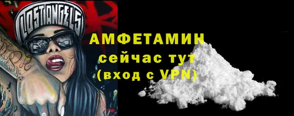 индика Ладушкин