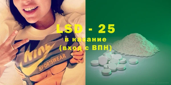 индика Ладушкин