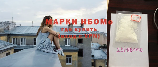 индика Ладушкин