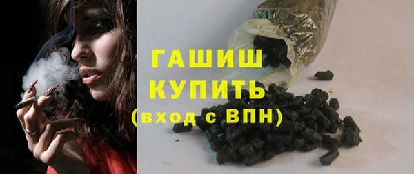 индика Ладушкин