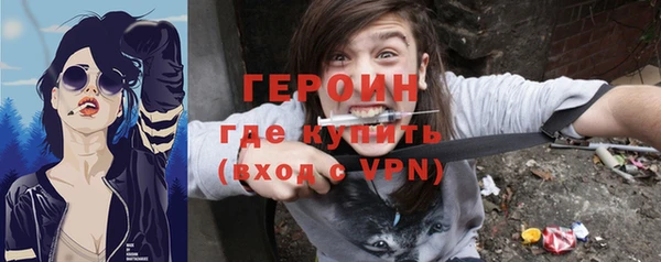 индика Ладушкин