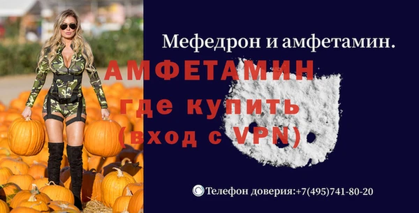 индика Ладушкин