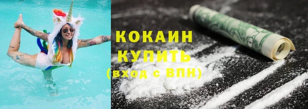 индика Ладушкин