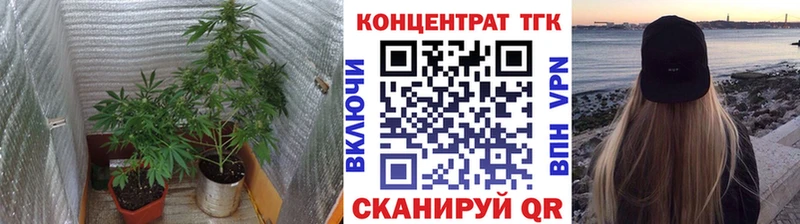 Дистиллят ТГК гашишное масло  Купить закладки  Закаменск 