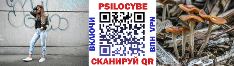 Псилоцибиновые грибы мухоморы  Купить  Закаменск 
